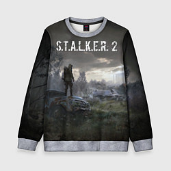 Свитшот детский STALKER 2, цвет: 3D-меланж