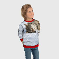 Свитшот детский Спящий Волк, цвет: 3D-красный — фото 2