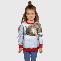 Свитшот детский Спящий Волк, цвет: 3D-красный — фото 2
