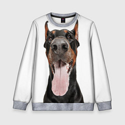 Свитшот детский Доберман Doberman, цвет: 3D-меланж