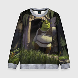 Свитшот детский Shrek: Somebody Once Told Me, цвет: 3D-меланж