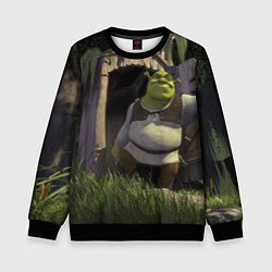 Свитшот детский Shrek: Somebody Once Told Me, цвет: 3D-черный