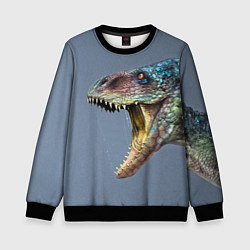 Свитшот детский Хищный динозавр Dino Z, цвет: 3D-черный
