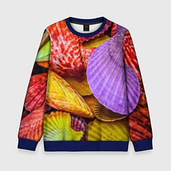 Детский свитшот Разноцветные ракушки multicolored seashells