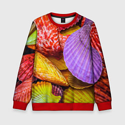 Детский свитшот Разноцветные ракушки multicolored seashells