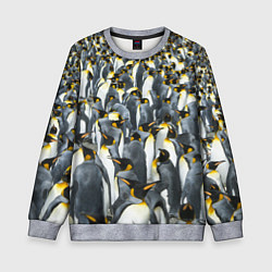 Детский свитшот Пингвины Penguins