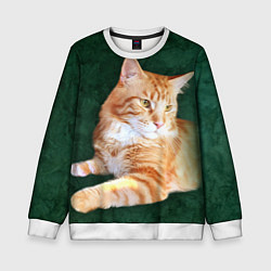 Свитшот детский Мейн кун рыжий кот, цвет: 3D-белый