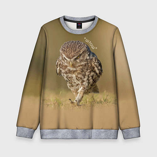 Детский свитшот Штош - мем - совёнок / 3D-Меланж – фото 1