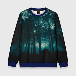 Свитшот детский Тёмный лес на закате, цвет: 3D-синий