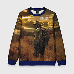 Свитшот детский STALKER В Поле, цвет: 3D-синий