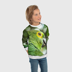 Свитшот детский Попугaй, цвет: 3D-белый — фото 2