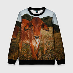 Свитшот детский Коровка на поле, цвет: 3D-черный