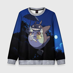 Свитшот детский Night flight Totoro, цвет: 3D-меланж