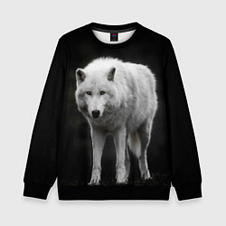 Свитшот детский Белый волк на темном фоне, цвет: 3D-черный