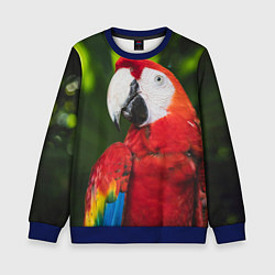 Свитшот детский Красный попугай Ара, цвет: 3D-синий