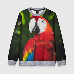 Свитшот детский Красный попугай Ара, цвет: 3D-меланж