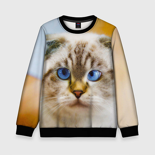 Детский свитшот Кошка породы шотландская вислоухая косоглазая / 3D-Черный – фото 1
