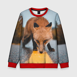 Детский свитшот Лиcа на трассе