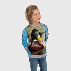 Свитшот детский Утка Кряква - селезень, цвет: 3D-меланж — фото 2