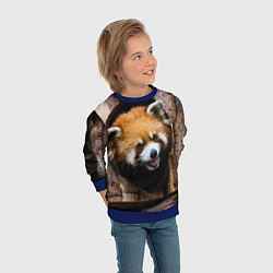 Свитшот детский Красная панда в дереве, цвет: 3D-синий — фото 2