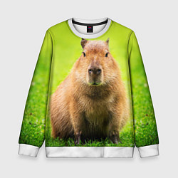 Свитшот детский Capybara on green grass, цвет: 3D-белый