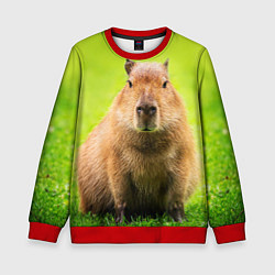 Свитшот детский Capybara on green grass, цвет: 3D-красный