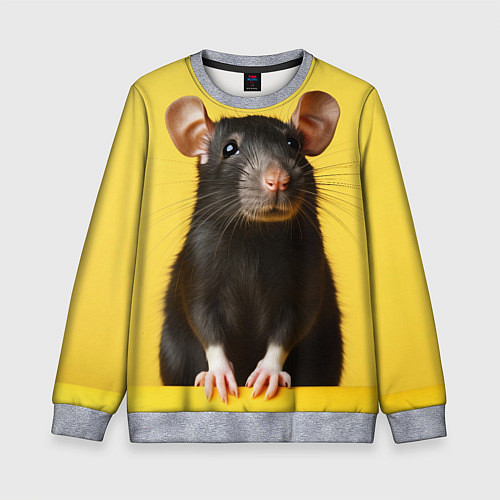 Детский свитшот Крыса черная / 3D-Меланж – фото 1