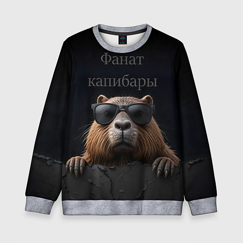 Детский свитшот Фанат капибары / 3D-Меланж – фото 1