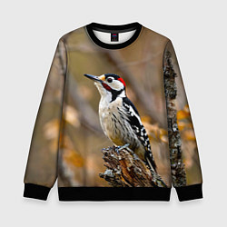 Свитшот детский Дятел в лесу, цвет: 3D-черный