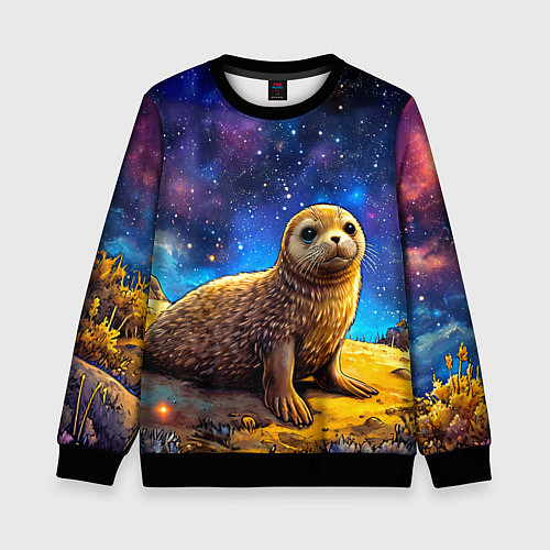 Детский свитшот Тюлень в космосе / 3D-Черный – фото 1