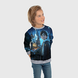 Свитшот детский Гарри Поттер и сова, цвет: 3D-меланж — фото 2