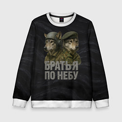 Свитшот детский Братья по небу ВДВ волки, цвет: 3D-белый
