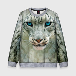 Детский свитшот Снежный барс