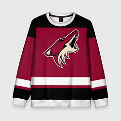 Детский свитшот Arizona Coyotes