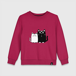 Детский свитшот Удивленные коты