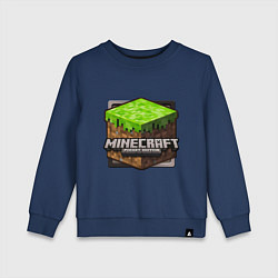 Детский свитшот Minecraft: Pocket Edition