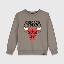 Детский свитшот Chicago Bulls