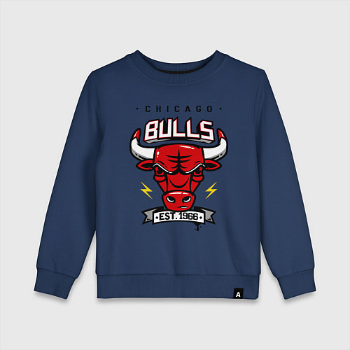 Детский свитшот Chicago Bulls est. 1966 / Тёмно-синий – фото 1
