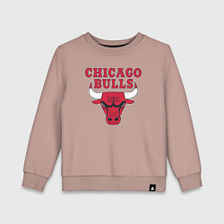Детский свитшот CHICAGO BULLS