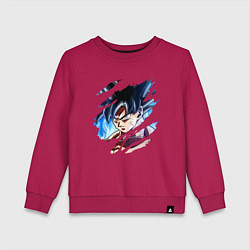 Детский свитшот Dragon Ball