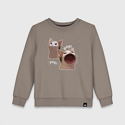 Детский свитшот Cat Pop - Мем