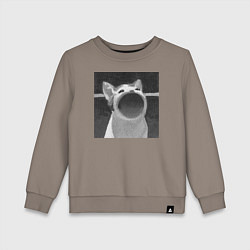 Детский свитшот ЧБ Pop Cat