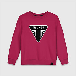 Свитшот хлопковый детский Triumph Мото Лого Z, цвет: маджента
