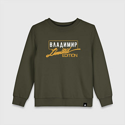 Детский свитшот Владимир Limited Edition