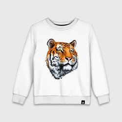 Детский свитшот Тигр