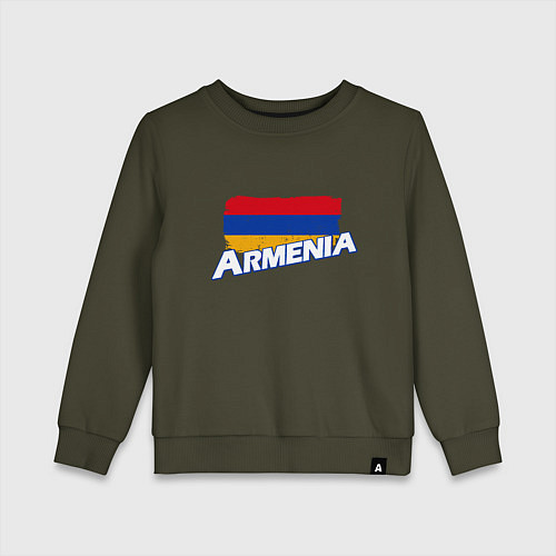 Детский свитшот Armenia Flag / Хаки – фото 1