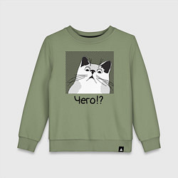 Детский свитшот Кот Чего?