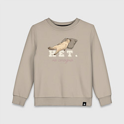 Детский свитшот Котик мем, нет, не сегодня