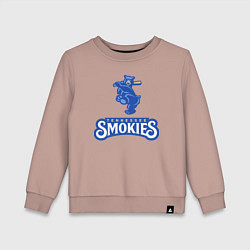 Свитшот хлопковый детский Tennessee smokies - baseball team, цвет: пыльно-розовый