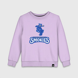 Детский свитшот Tennessee smokies - baseball team